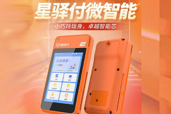 兴隆国通微电签POS机